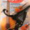 Kyser Classical Capo