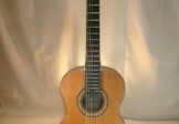 JOSE LUIS CANO ALEJO – Cedar Lattice & Zopilote – 2022