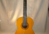 Takamine – Model G-124