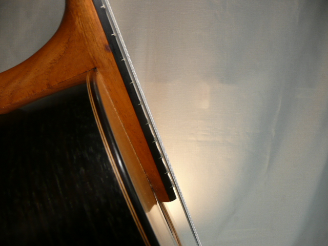 Steis#23ElevFgbdP1140411